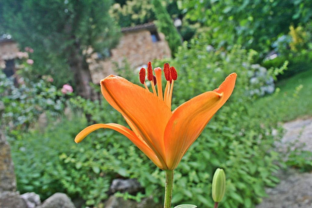 Finca El Carpintero Jerte Εξωτερικό φωτογραφία