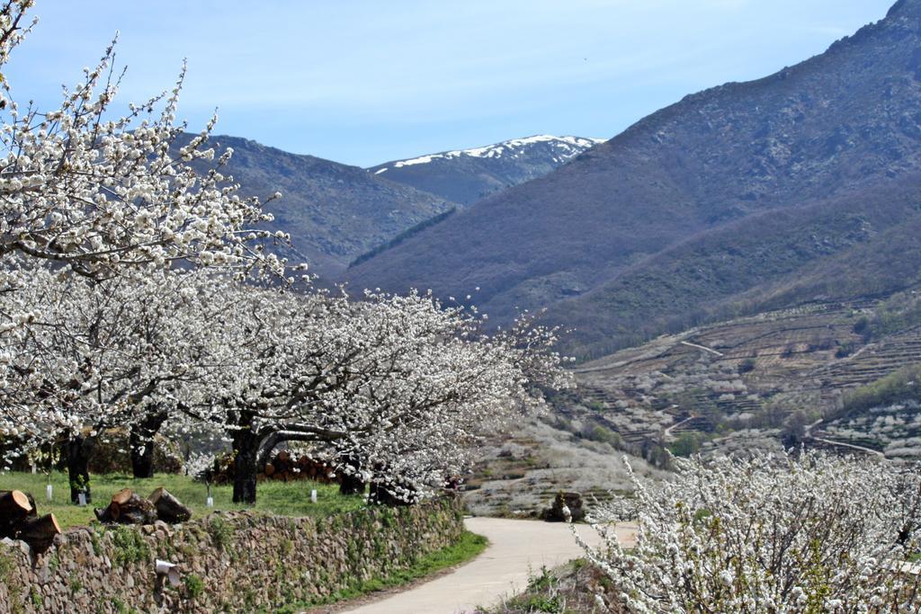 Finca El Carpintero Jerte Εξωτερικό φωτογραφία