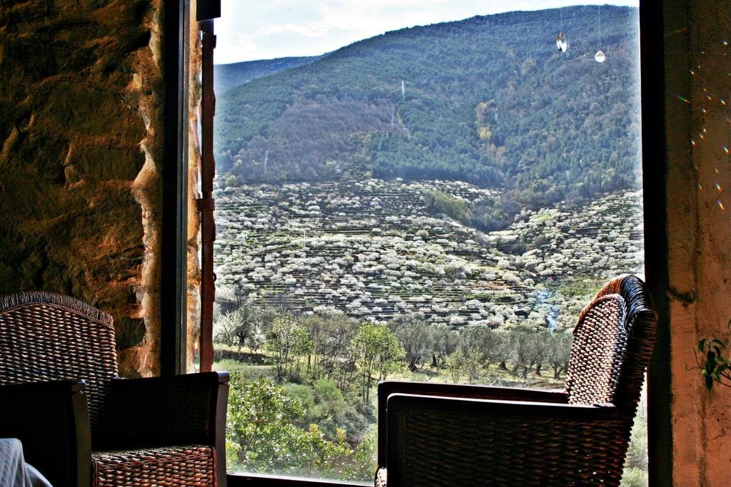 Finca El Carpintero Jerte Εξωτερικό φωτογραφία