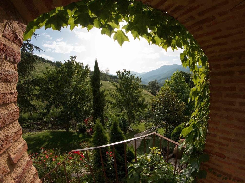 Finca El Carpintero Jerte Εξωτερικό φωτογραφία